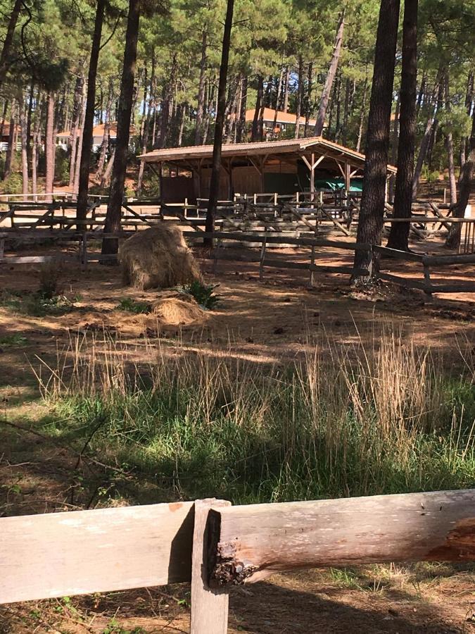 Chalet Orange Naturiste La Jenny Le Porge Zewnętrze zdjęcie